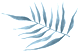 feather